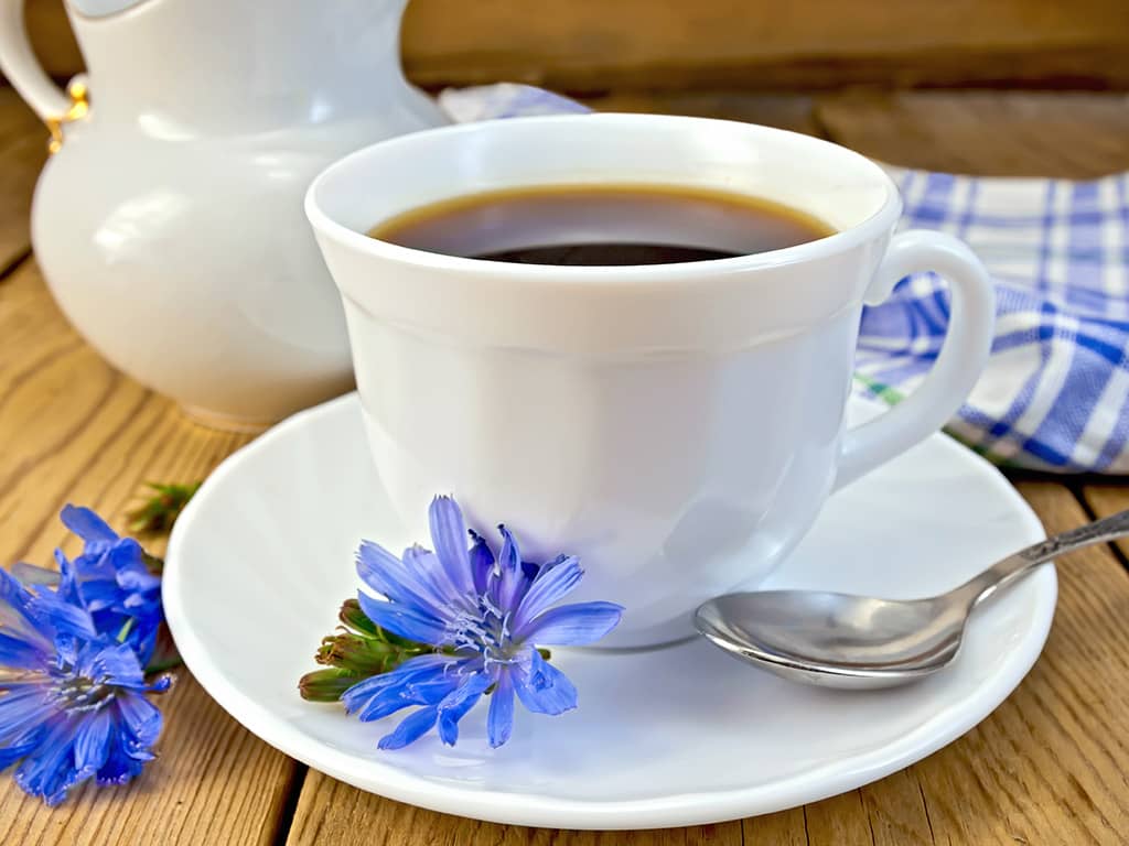 una tazza di caffè di radice di cicoria con vicino dei fiori di cicoria